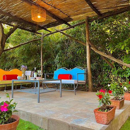 La Dimora: Relax In A Lovely Garden Massa Lubrense Exterior photo