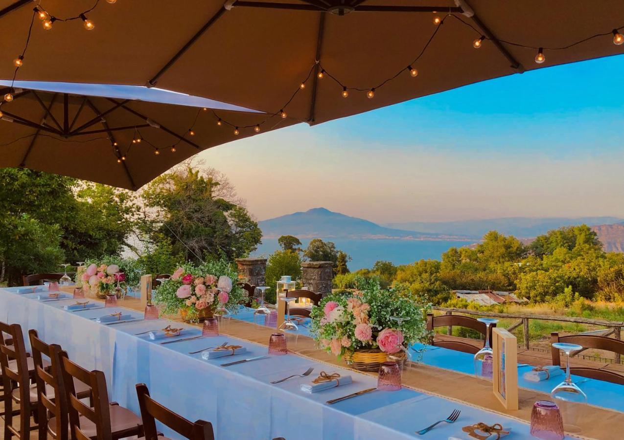 La Dimora: Relax In A Lovely Garden Massa Lubrense Exterior photo