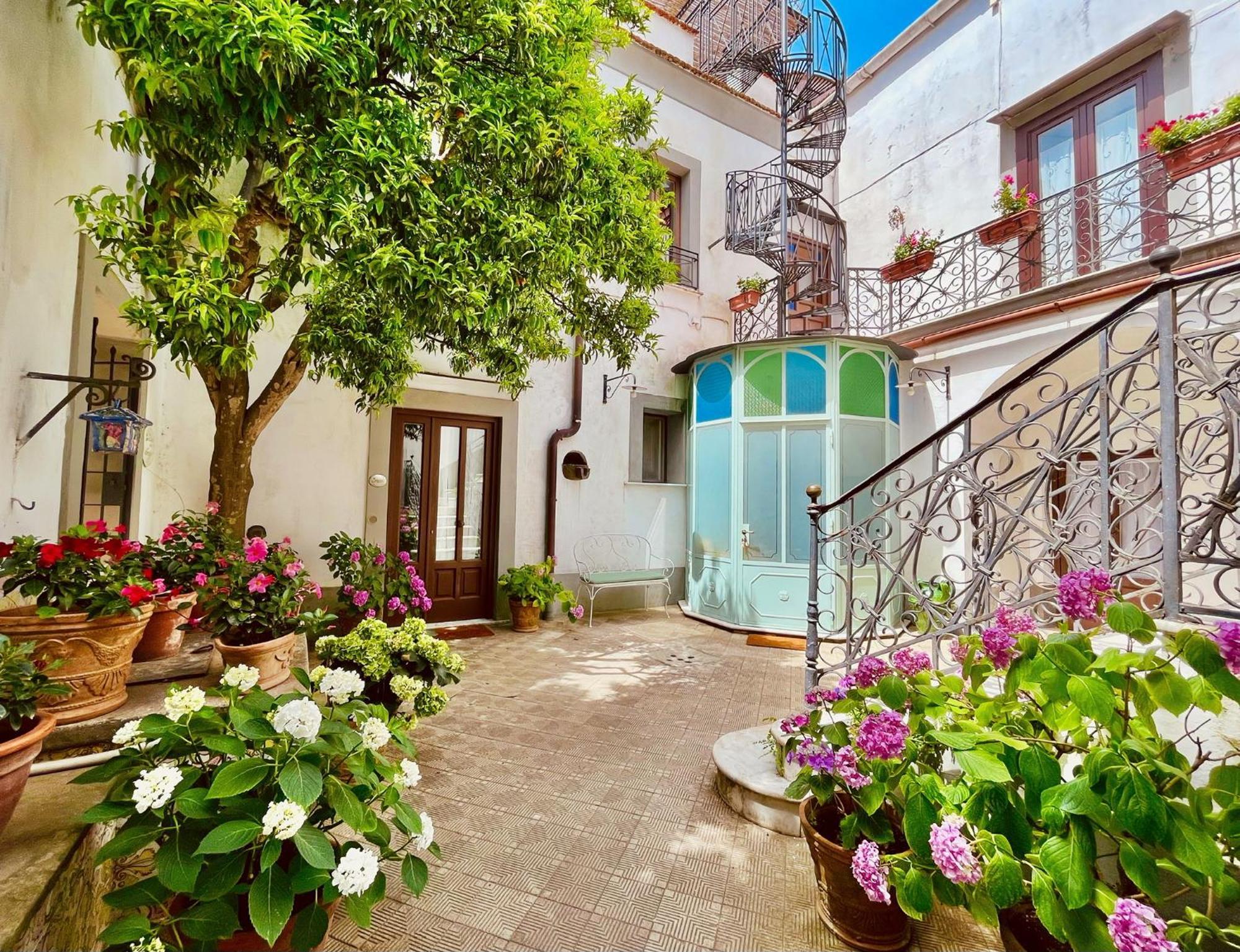 La Dimora: Relax In A Lovely Garden Massa Lubrense Exterior photo